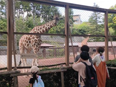 茶臼山動物園２.jpg